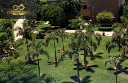 Apartment - 2 Bedrooms - 1 Bathroom for rent in B8 - Madinaty - Cairo