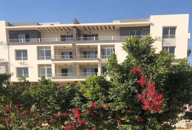 58246762 - Property Main Image