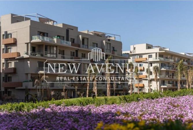 64642086 - صورة العقار 2