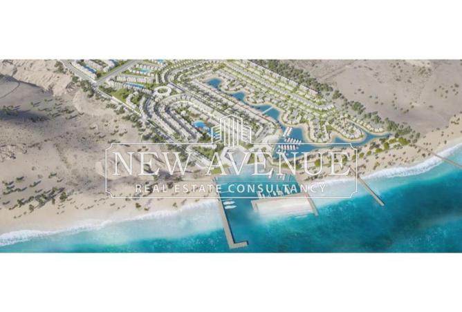 66173594 - صورة العقار 3