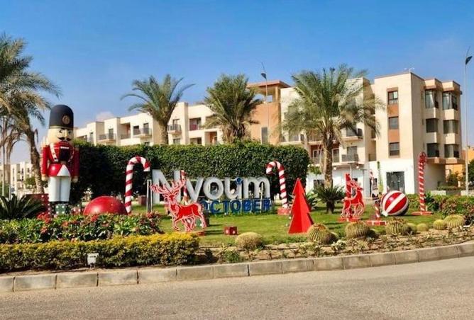 80264151 - صورة العقار 3