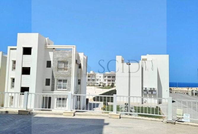 74308885 - Property Image 2