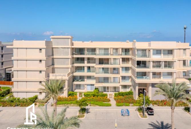 63146186 - Property Image 3