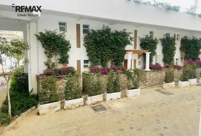 118552306 - Property Image 3