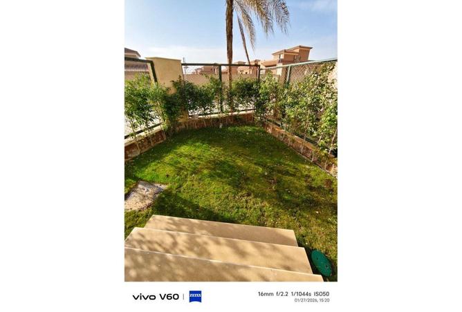 53220582 - صورة العقار 3