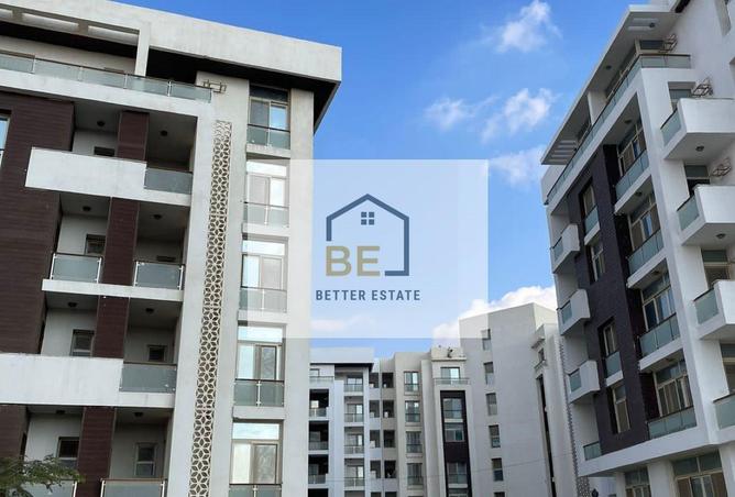 55748406 - Property Image 3