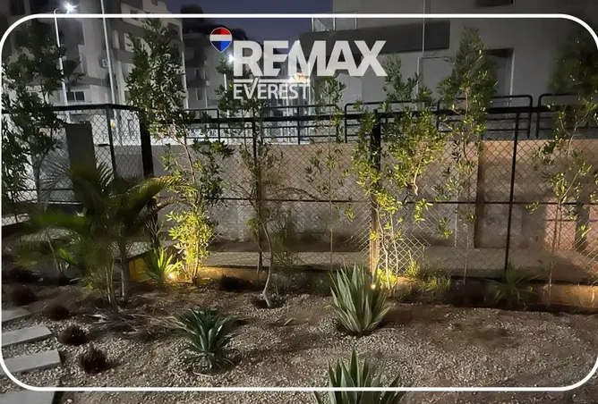 114618242 - Property Image 3