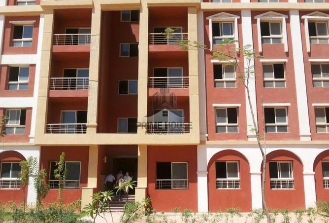 8567825 - Property Image 3