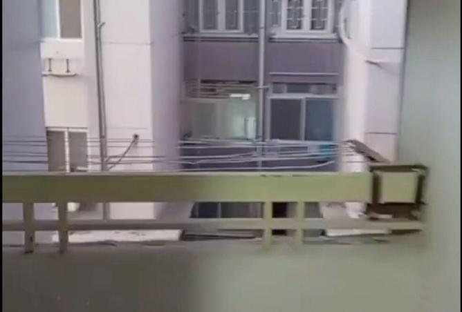 56007066 - صورة العقار 3