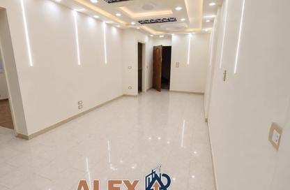Office Space - Studio - 1 Bathroom for rent in Mohamed Bahaa Al Din Al Ghouri St. - Smouha - Hay Sharq - Alexandria