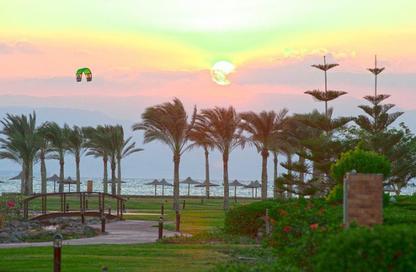 Chalet - 3 Bedrooms - 3 Bathrooms for sale in Paradise Ras Sudr - Raas Matarma - Ras Sedr - South Sainai