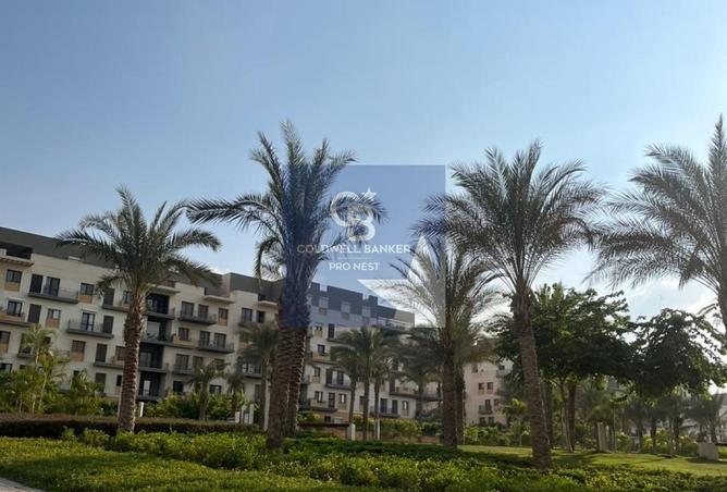 8475805 - صورة العقار 2