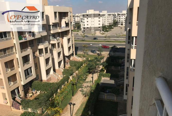 81560702 - Property Image 3