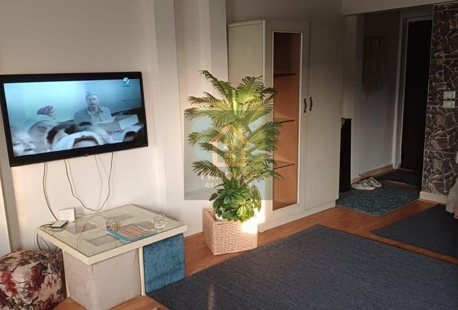 67995419 - Property Image 3