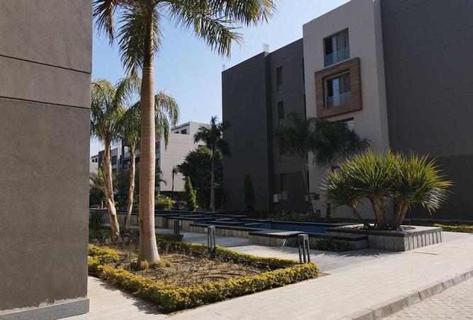 68263692 - Property Image 3