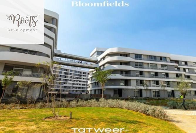 65917429 - Property Image 3