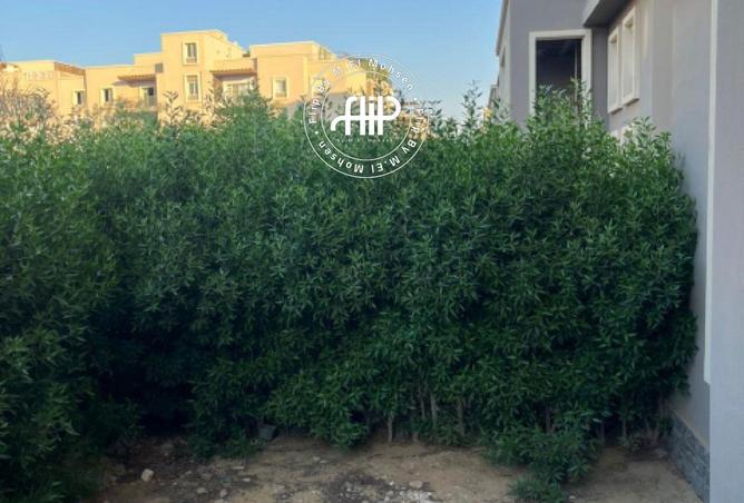 8442280 - الصورة الرئيسية للعقار