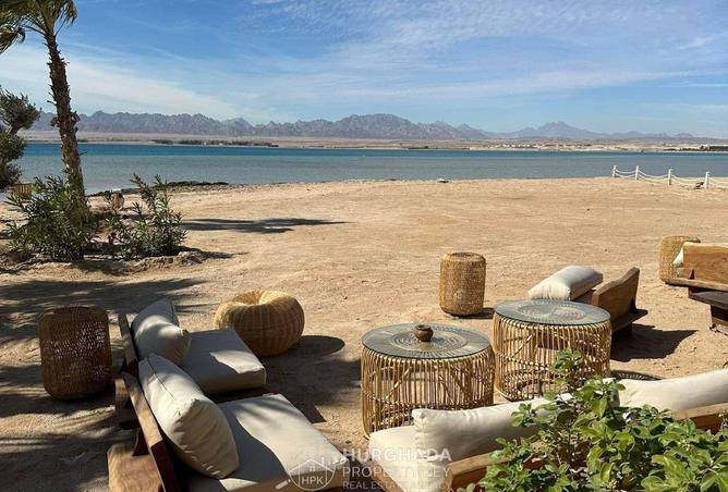 8686450 - صورة العقار 3