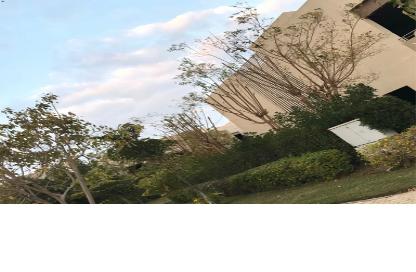 Townhouse - 5 Bedrooms - 4 Bathrooms for sale in Palm Hills Golf Extension - Al Wahat Road - 6 October City - Giza