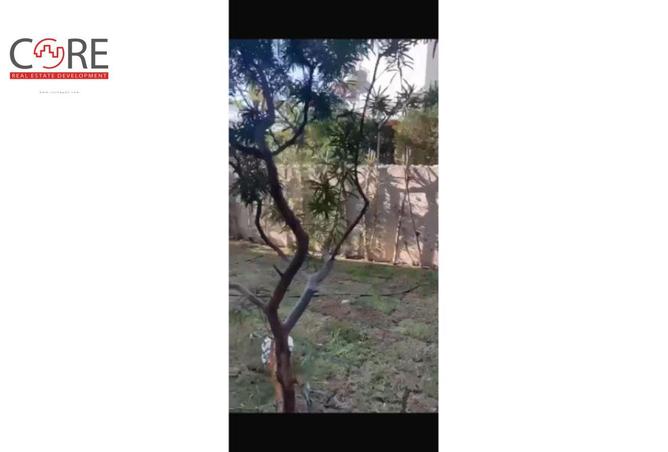 94642268 - الصورة الرئيسية للعقار