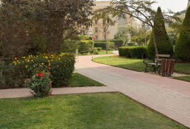 66960150 - Property Image 3