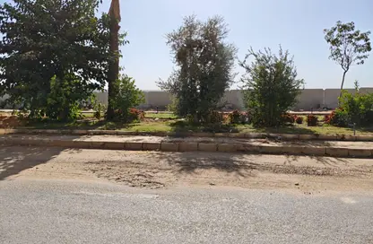 شقة - 3 غرف نوم - 2 حمامات للبيع في اللوتس الشمالي - حى اللوتس - مدينة القاهرة الجديدة - القاهرة شقة - 3 غرف نوم - 2 حمامات للبيع في اللوتس الشمالي - حى اللوتس - مدينة القاهرة الجديدة - القاهرة