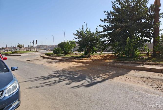 55006160 - صورة العقار 3