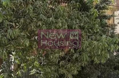 Apartment - 2 Bedrooms - 2 Bathrooms for sale in Zamalek - Cairo
