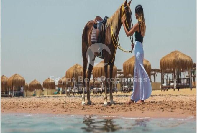 57755109 - صورة العقار 3