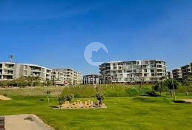 97443479 - Property Image 3