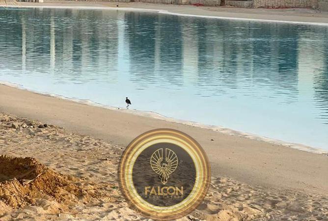 65161087 - صورة العقار 2