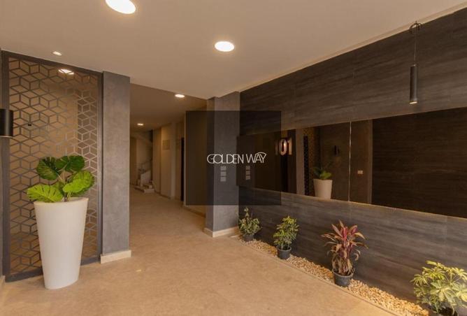 53221814 - صورة العقار 2