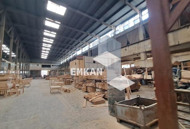 57987849 - صورة العقار 3