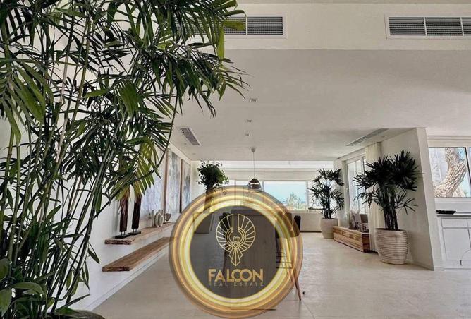 66434456 - الصورة الرئيسية للعقار