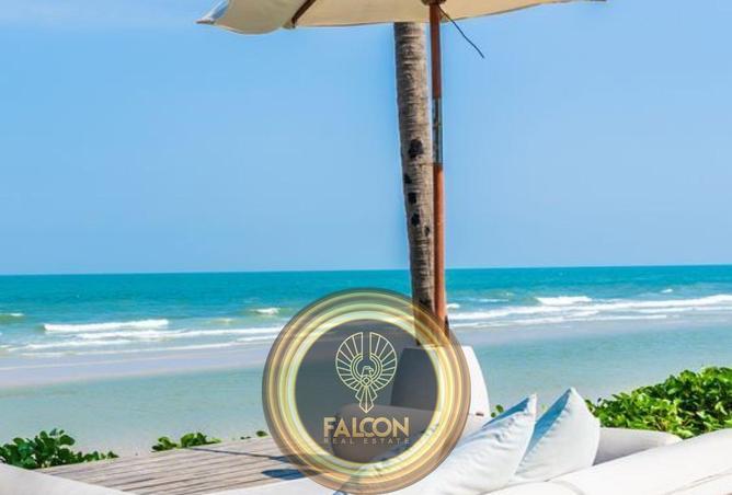 66434456 - صورة العقار 3