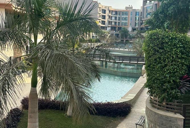 66696181 - Property Image 3