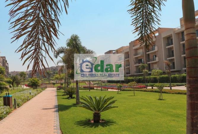 99806086 - صورة العقار 3
