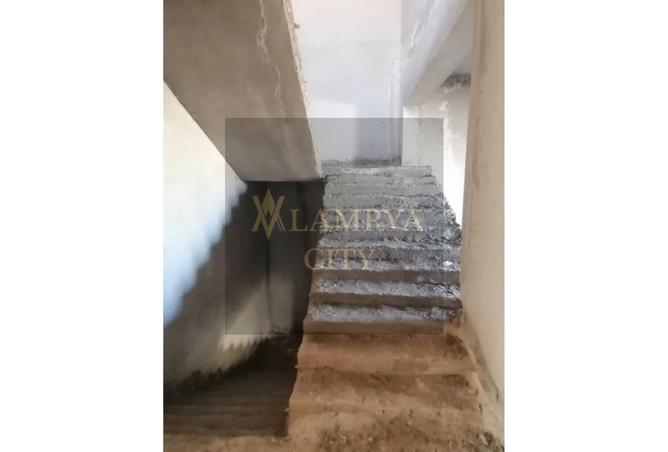 8557922 - Property Image 3