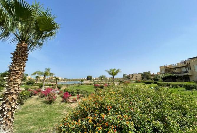 102621472 - صورة العقار 3