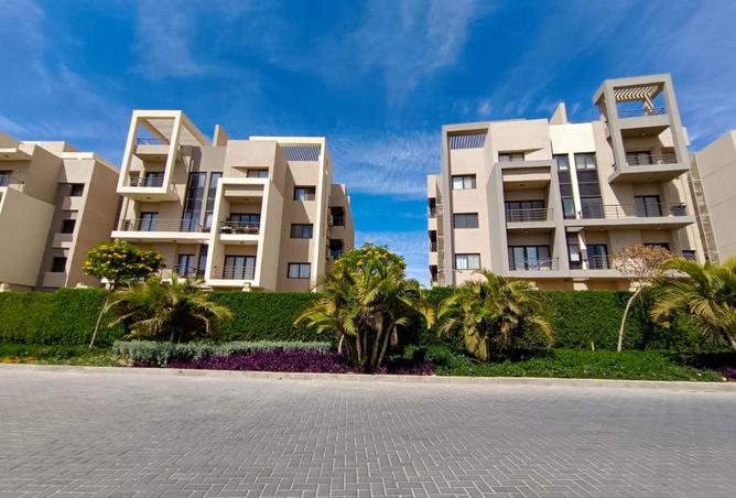 8513099 - Property Image 3