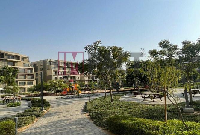 56250662 - Property Image 3