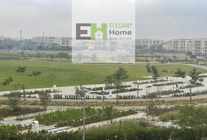 66421456 - Property Image 3