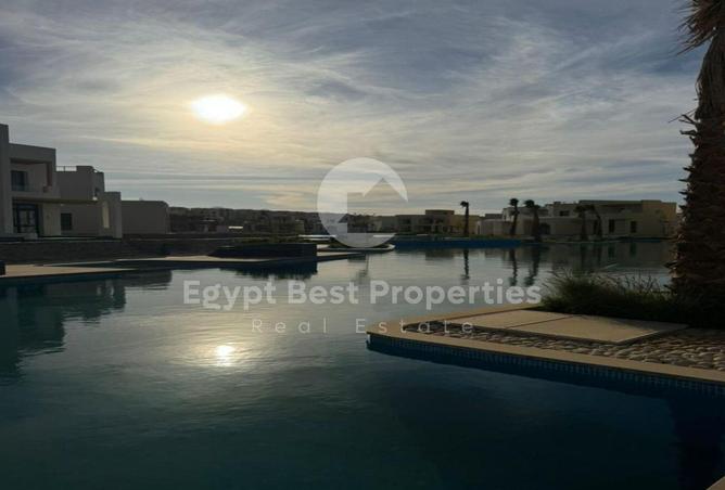 8536621 - Property Image 3