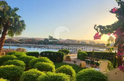 Apartment - 1 Bedroom - 1 Bathroom for sale in Mangroovy Residence - El Gouna - Hurghada - Red Sea