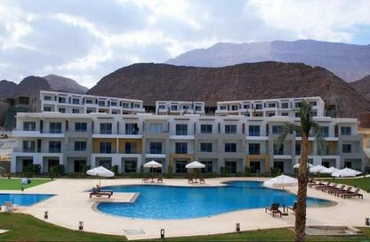 Apartment - 2 Bedrooms - 2 Bathrooms for sale in The Groove - Al Ain Al Sokhna - Suez