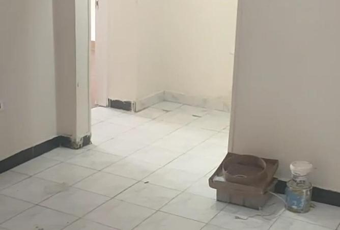 58745306 - صورة العقار 3