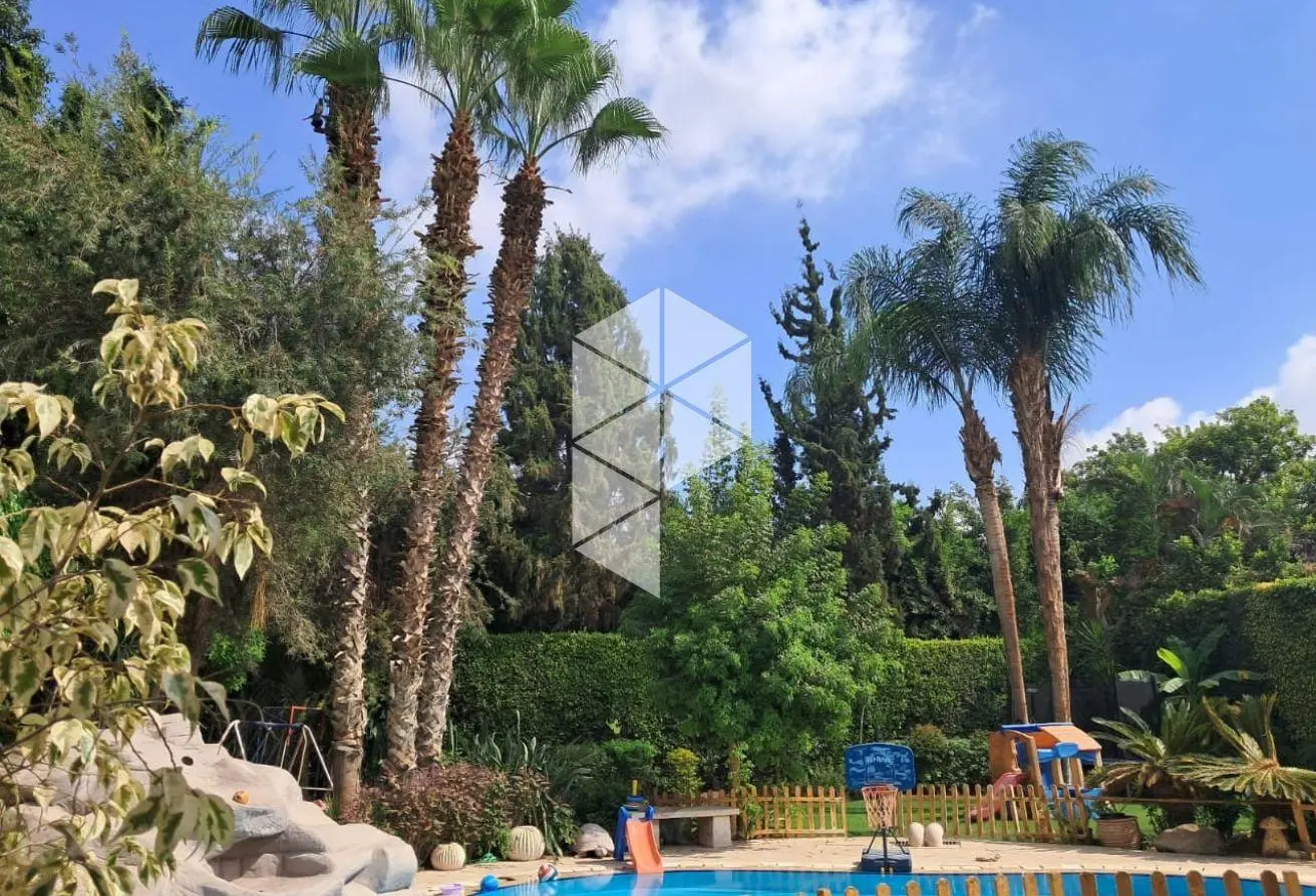 115451811 - الصورة الرئيسية للعقار
