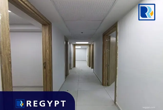 111597042 - Property Image 3
