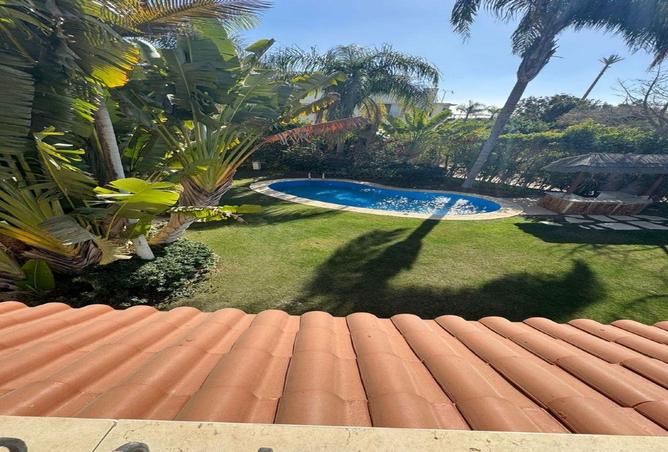 56509628 - صورة العقار 3