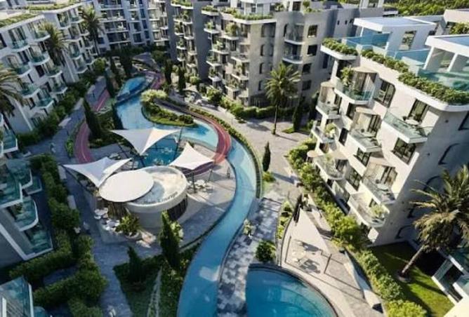 8715678 - Property Image 3